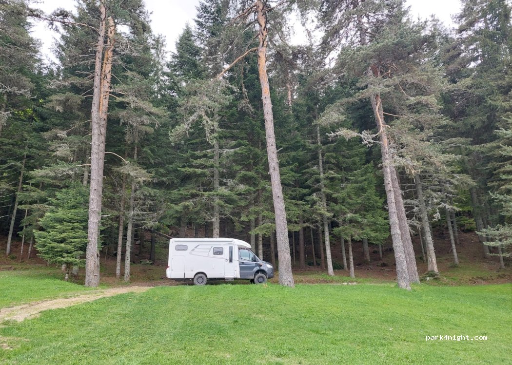 (2903) Popov Meadows - — foto 2