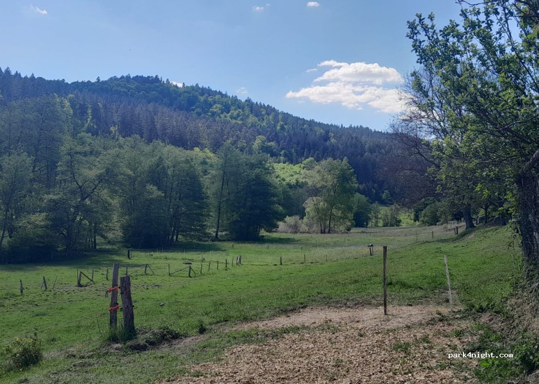 (63937) Weilbach - Am Weinberg 4 — foto