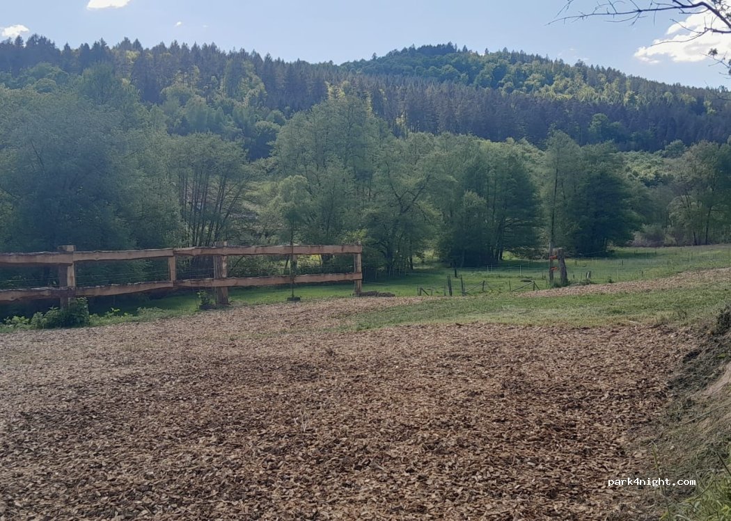 (63937) Weilbach - Am Weinberg 4 — foto 2