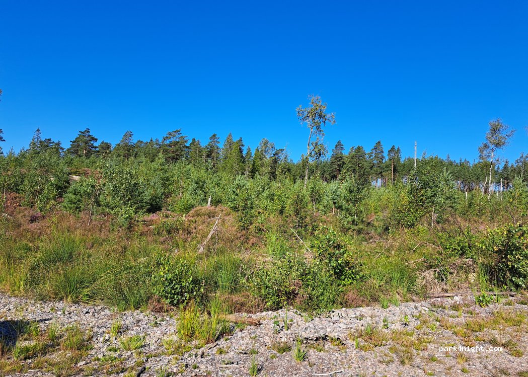 (672 95) Årjäng - — foto 3