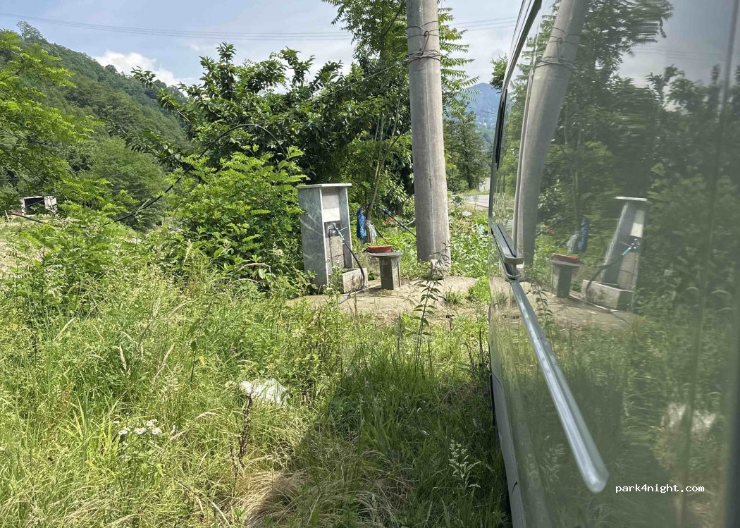 (53200) Çayeli - 6 Çayeli Güneysu Yolu — foto 3
