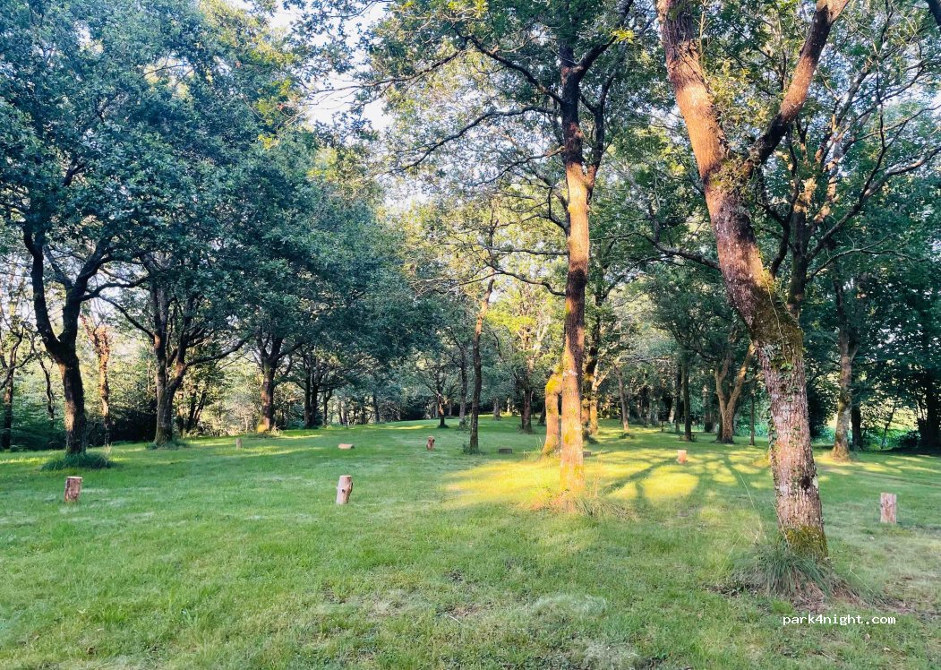 Camping Ducasse — foto 4
