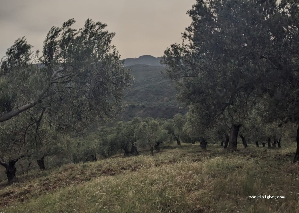 (17980) Adatepe - Adatepe Köyü Yolu — foto 3