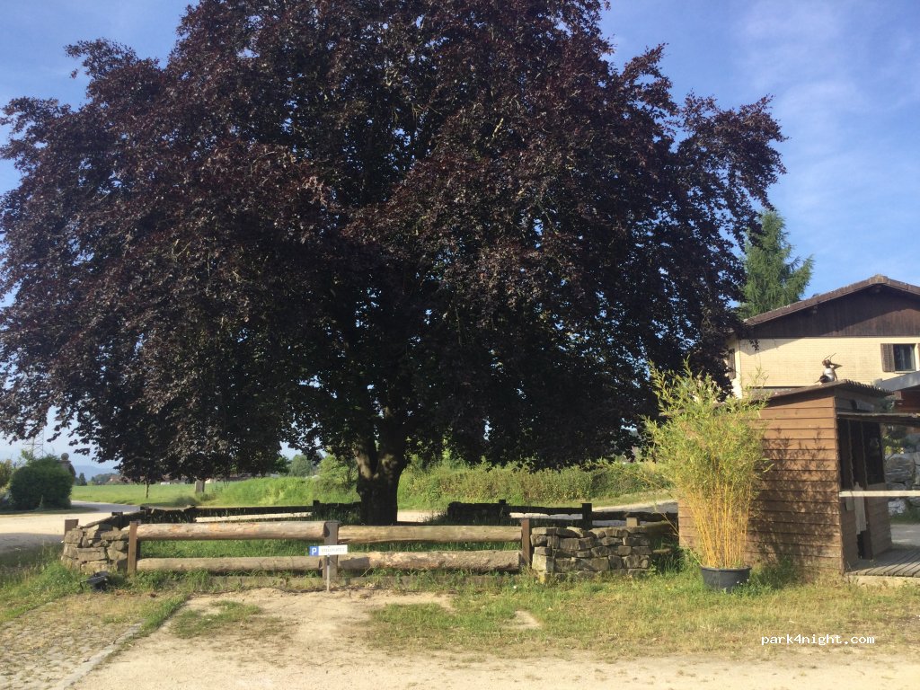 Mettlen — foto 5
