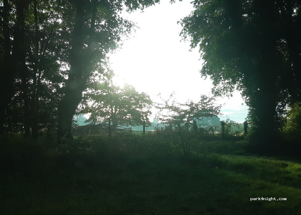 (58310) Saint-Amand-en-Puisaye - — foto 2