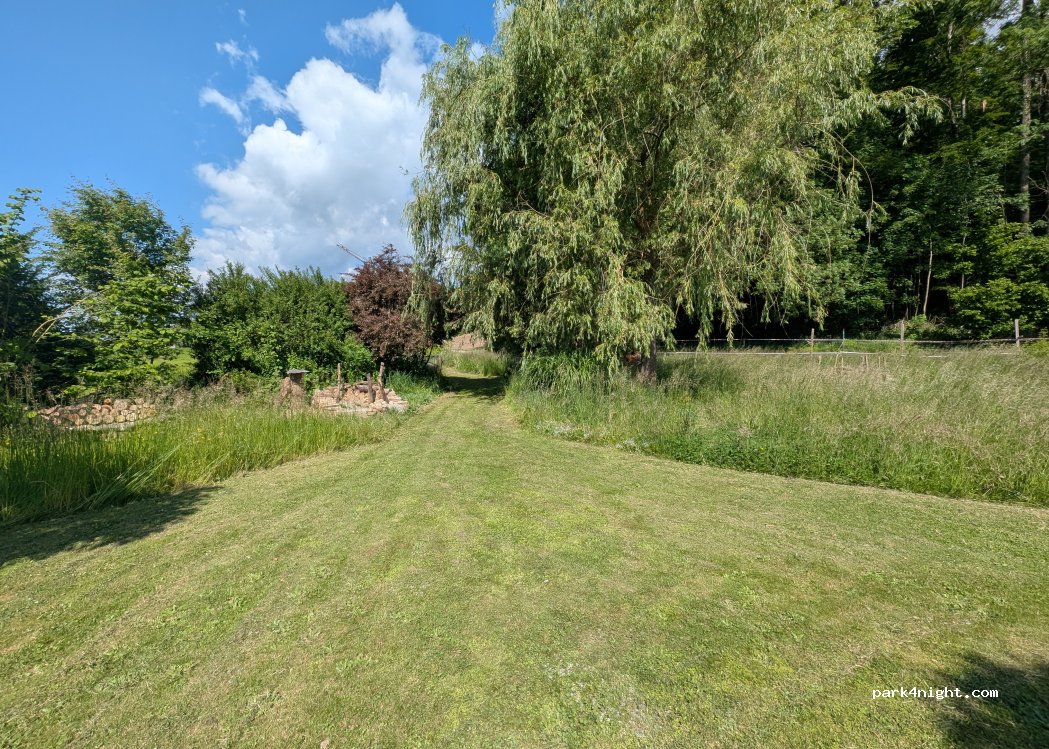 (4537) Wiedlisbach - 1 Stiereweidwald — foto