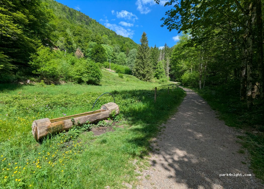 (68820) Wildenstein - 3 Rue du Rhin et Danube — foto