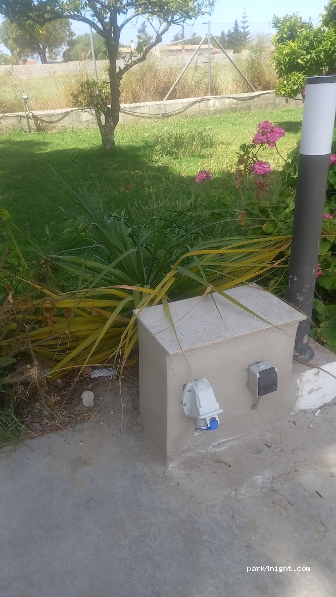 Entre Pinos — foto 3
