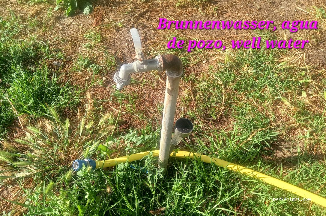 Entre Pinos — foto 5