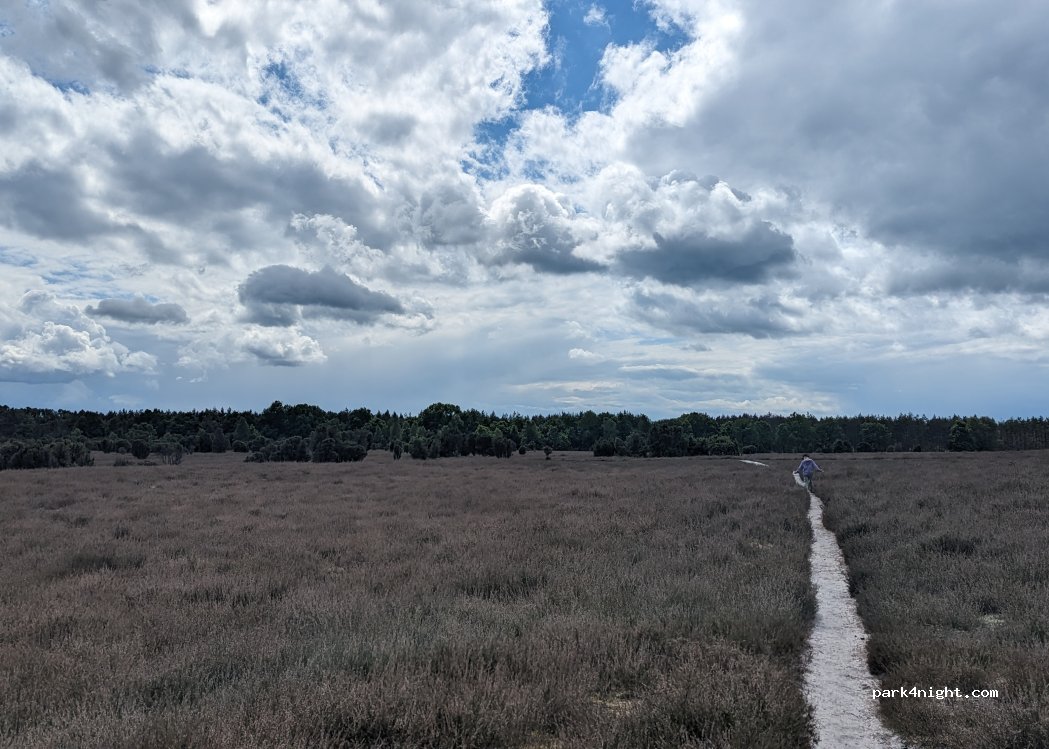 (29399) Wahrenholz - Unnamed Road — foto 3