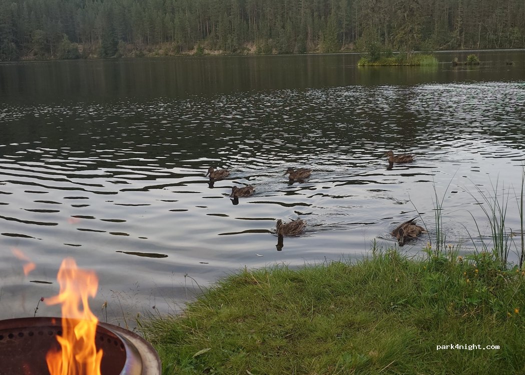 (3680) Notodden - 1186 Årlifossvegen — foto 2