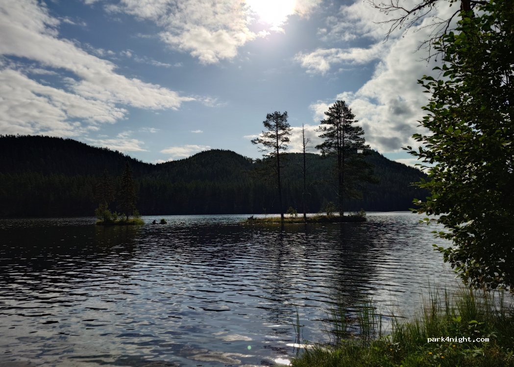 (3680) Notodden - 1186 Årlifossvegen — foto 3