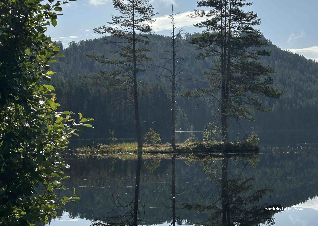 (3680) Notodden - 1186 Årlifossvegen — foto 4