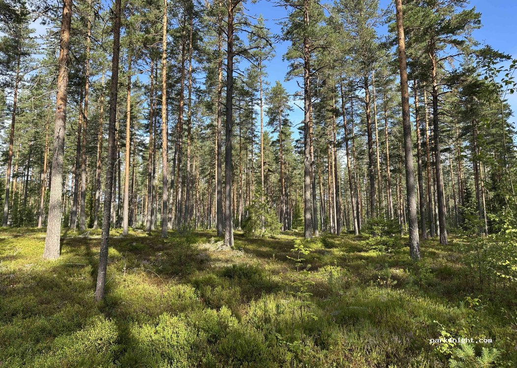 (3680) Notodden - 1186 Årlifossvegen — foto 5