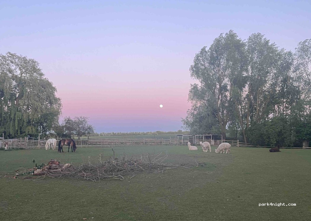 (18513) Glewitz - 12 Turow — foto