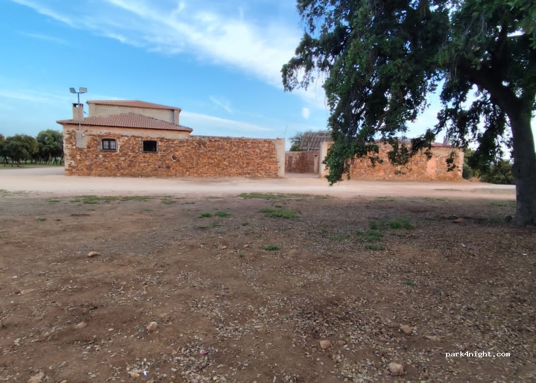 (13326) Montiel - Unnamed road — foto 3