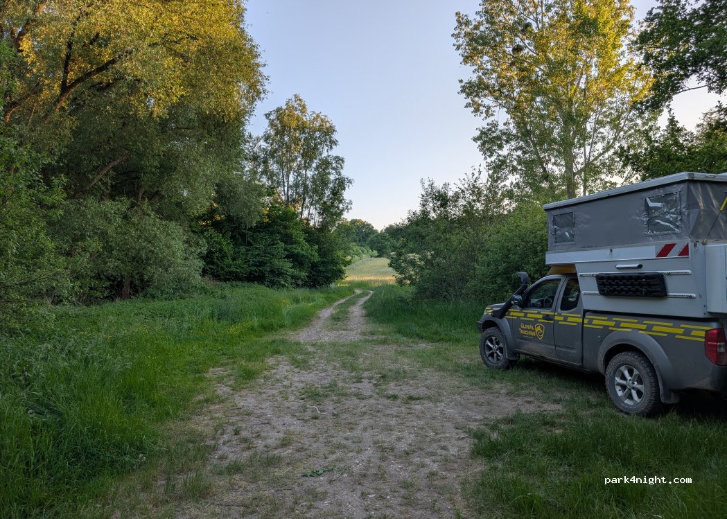 () Hattmatt - D116 — foto