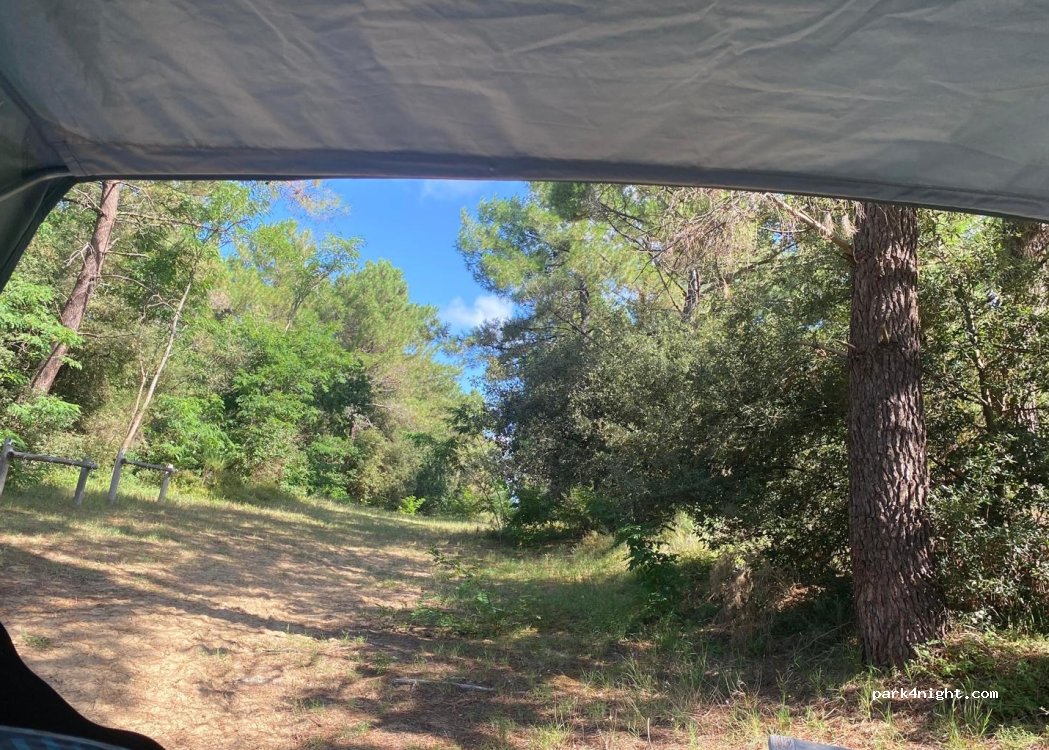 (17350) Saint-Savinien - 30 Avenue des Sources — foto