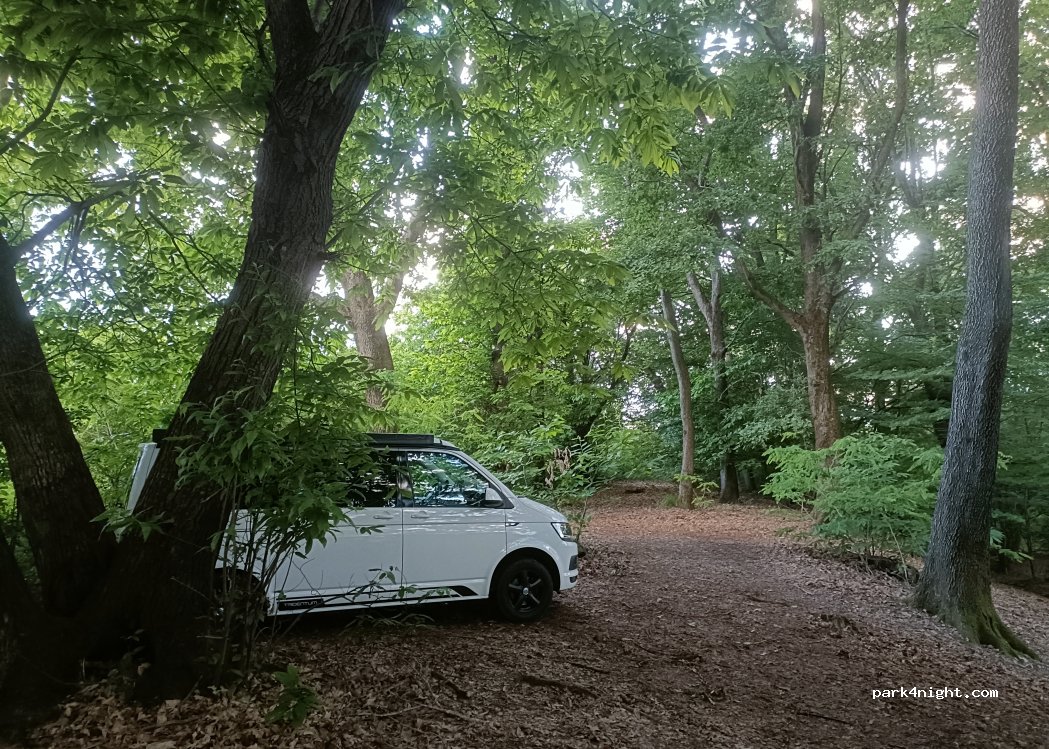 (31040) Nervesa della Battaglia - Via Luigi Lama — foto