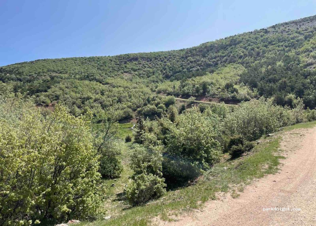 (58502) Yıldızeli - — foto