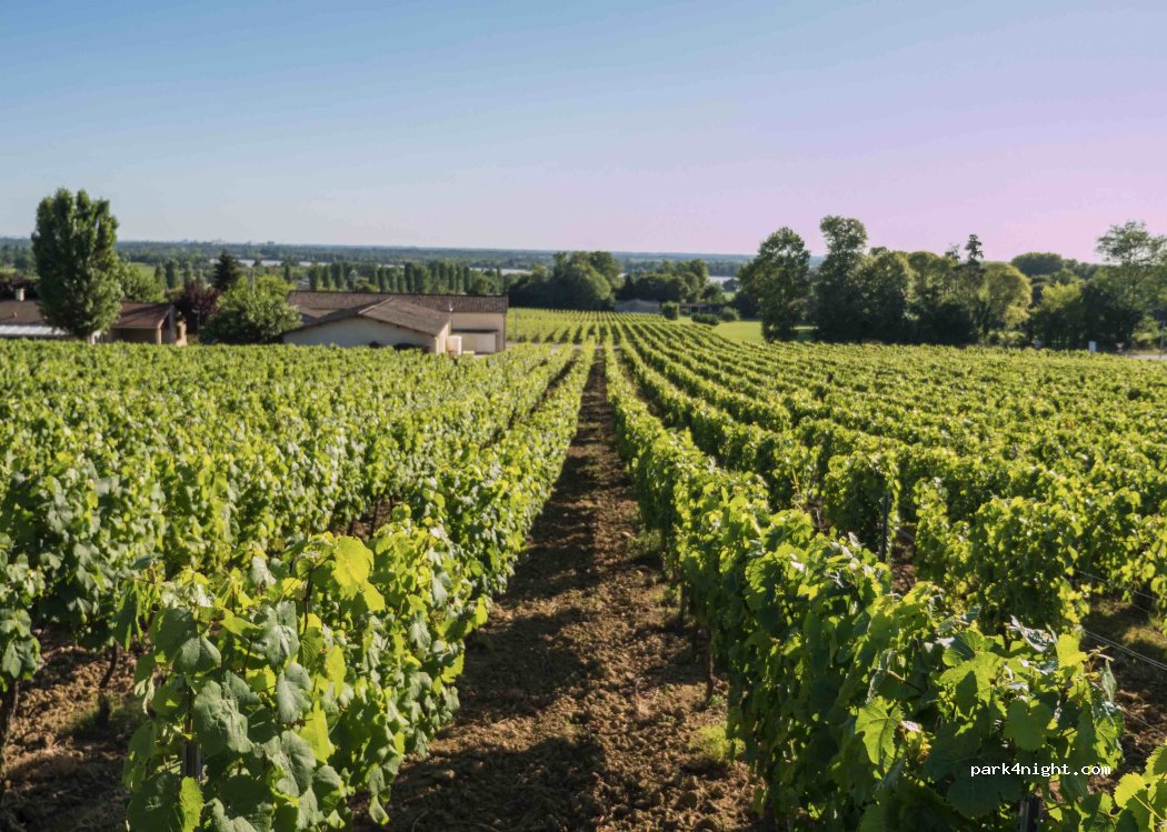(33240) Saint-André-de-Cubzac - 185 Route de Bourg — foto 3