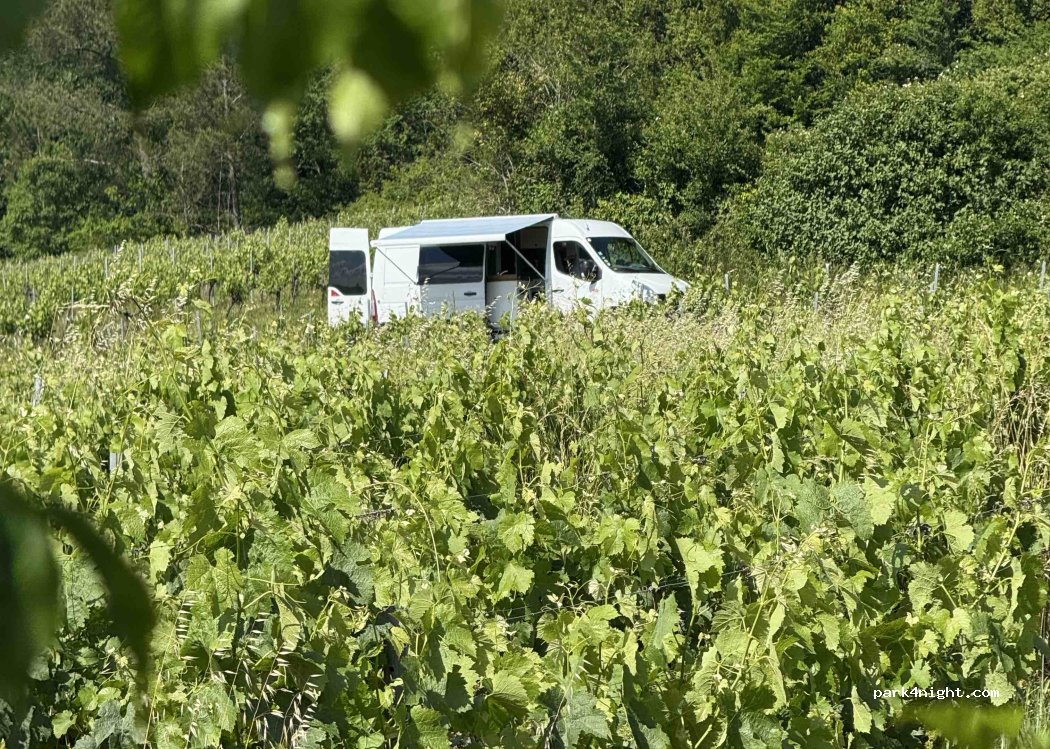(33240) Saint-André-de-Cubzac - 185 Route de Bourg — foto 4