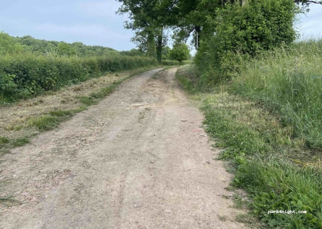 (71420) Perrecy-les-Forges - 324 Le Bois Rondot — foto 3