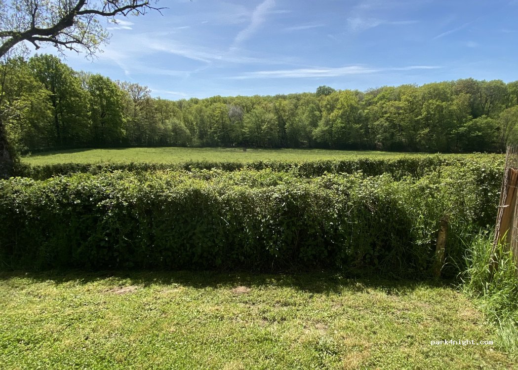 (71420) Perrecy-les-Forges - 324 Le Bois Rondot — foto 4