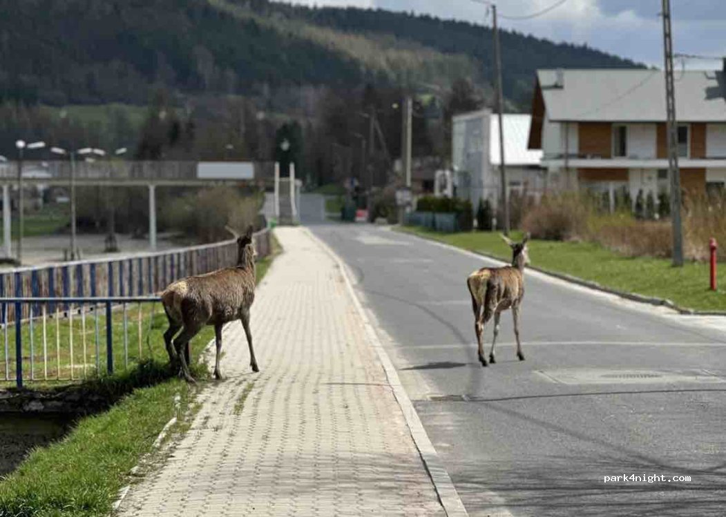 Zacisze w mieście — foto 2