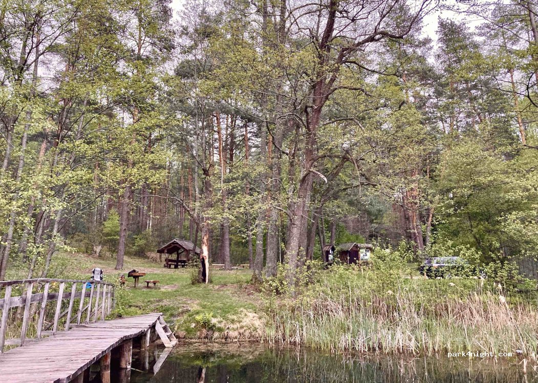 (65332) Pelekiškė - Unnamed Road — foto 2
