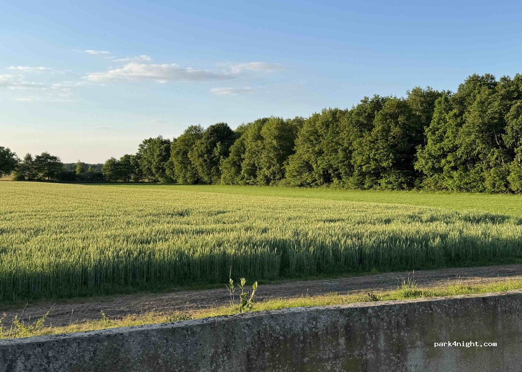 (49492) Westerkappeln - 5 Zum Düsterdiek — foto 2