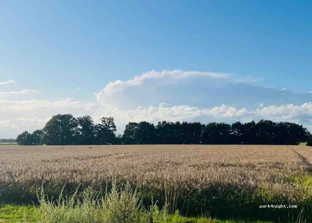(49492) Westerkappeln - 5 Zum Düsterdiek — foto 4