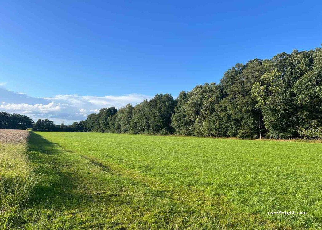 (49492) Westerkappeln - 5 Zum Düsterdiek — foto 5