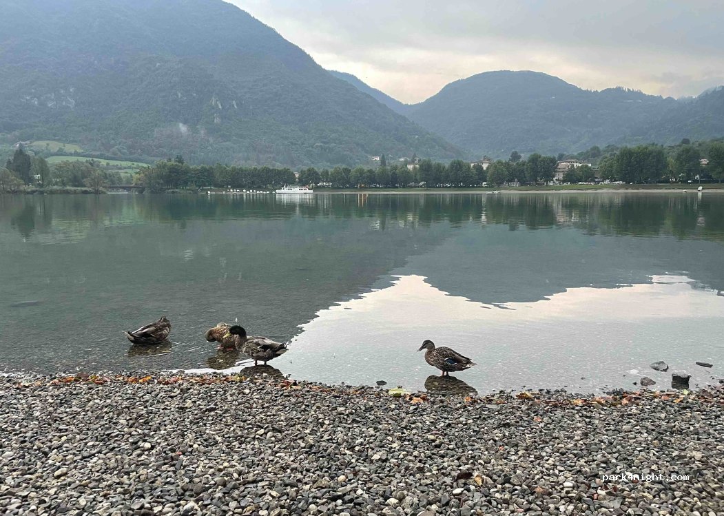 Camping Venus — foto 4
