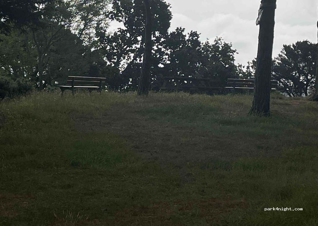 (35800) Dinard - 4 Avenue Bruzzo — foto