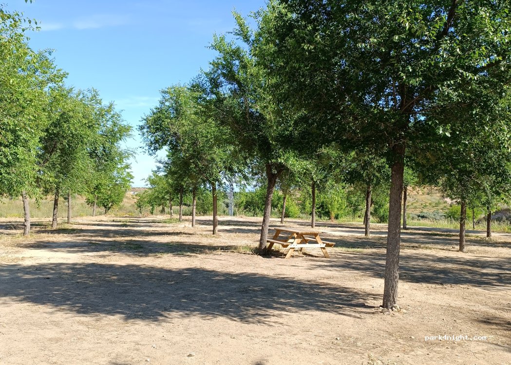 (45170) San Martín de Pusa - 50 Calle Talavera — foto 2