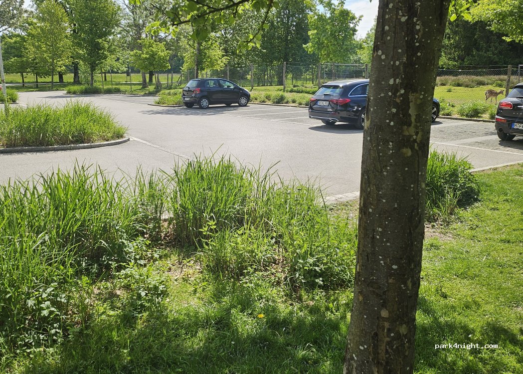 (82031) Grünwald - 1 Wörnbrunner Straße — foto