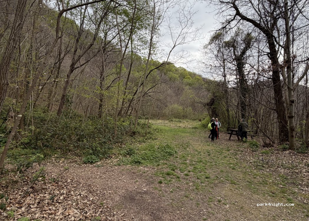 (35030) Vo' - Unnamed road — foto