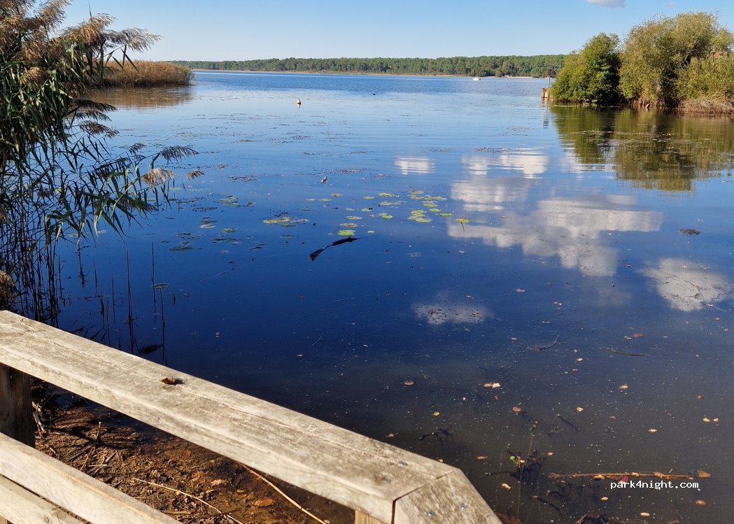 (40460) Sanguinet - 250 Allée des Eaux Qui Rient — foto 2