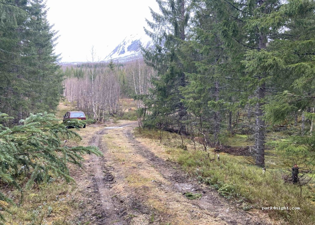 (8264) Sørfjordmoen - — foto