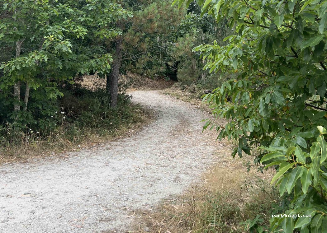 (36142) A Carballeira - — foto 3