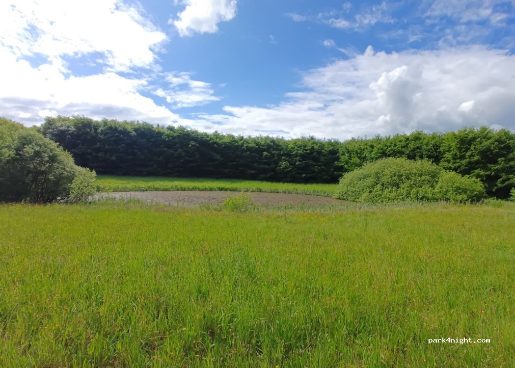 (8723) Løsning - 40 Remmerslundvej — foto 3