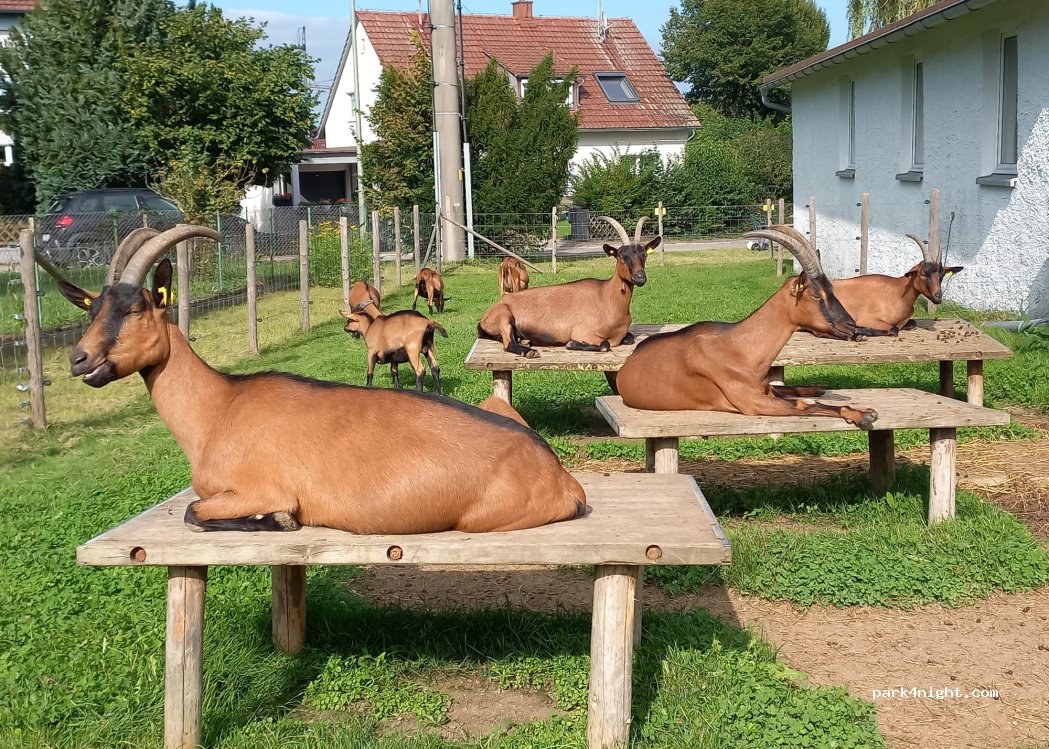 (87700) Memmingen - 12 Am Kohlplatz — foto 3