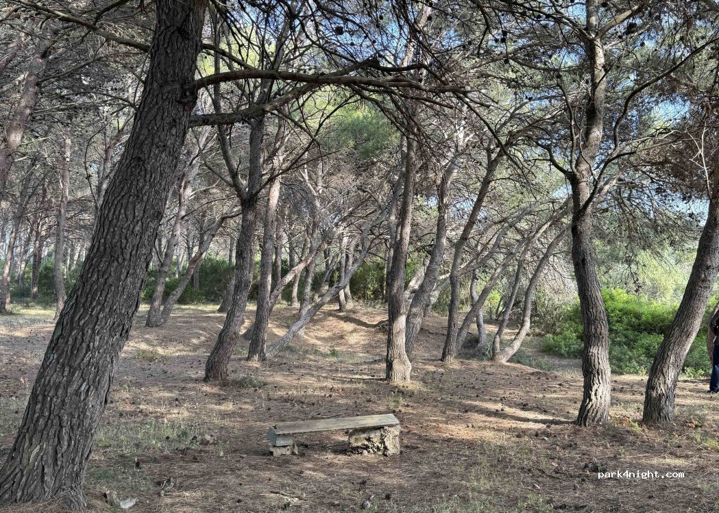 (09010) Gonnesa - SP83 — foto 4