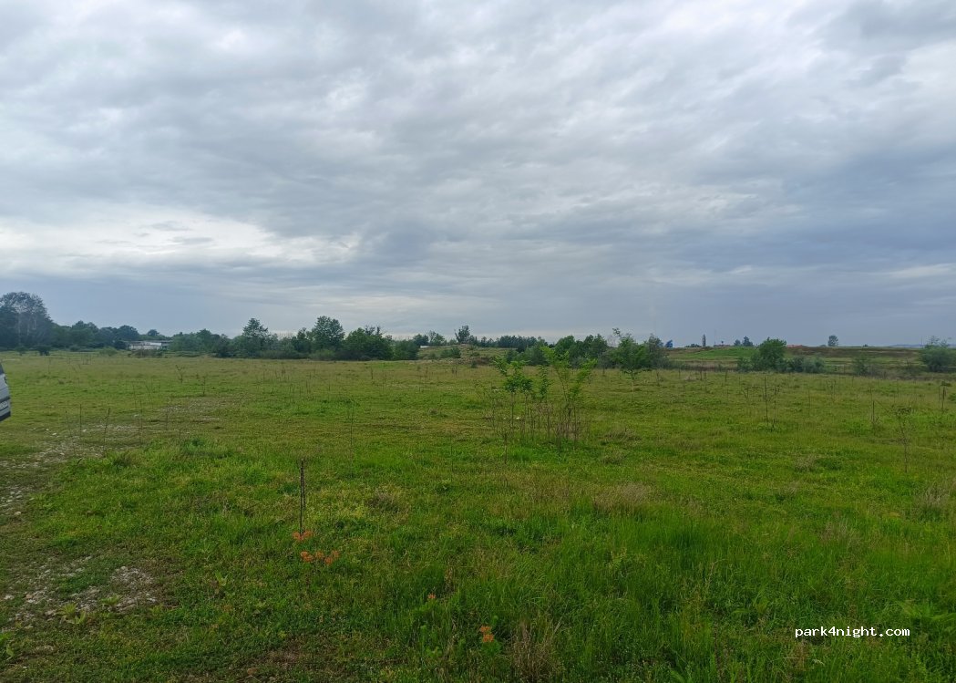 (117220) Căteasca - — foto 2