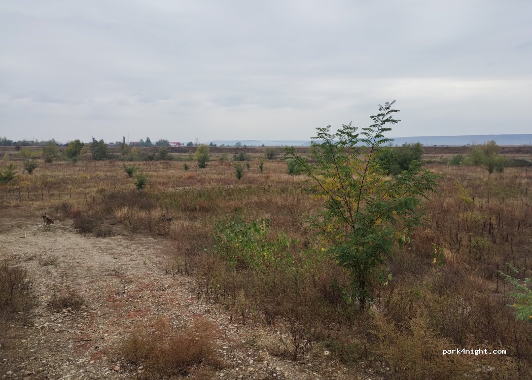 (117220) Căteasca - — foto 3