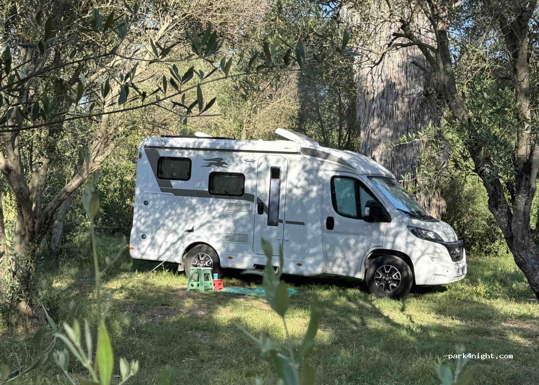 Agriturismo Capo Corso — foto 2