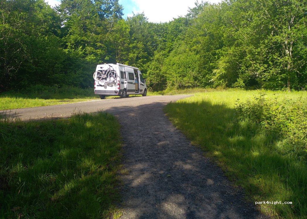 (31694) Burguete - Camino de Santiago — foto