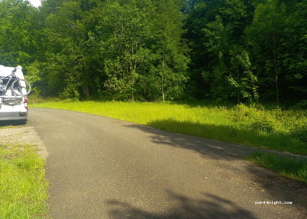 (31694) Burguete - Camino de Santiago — foto 2
