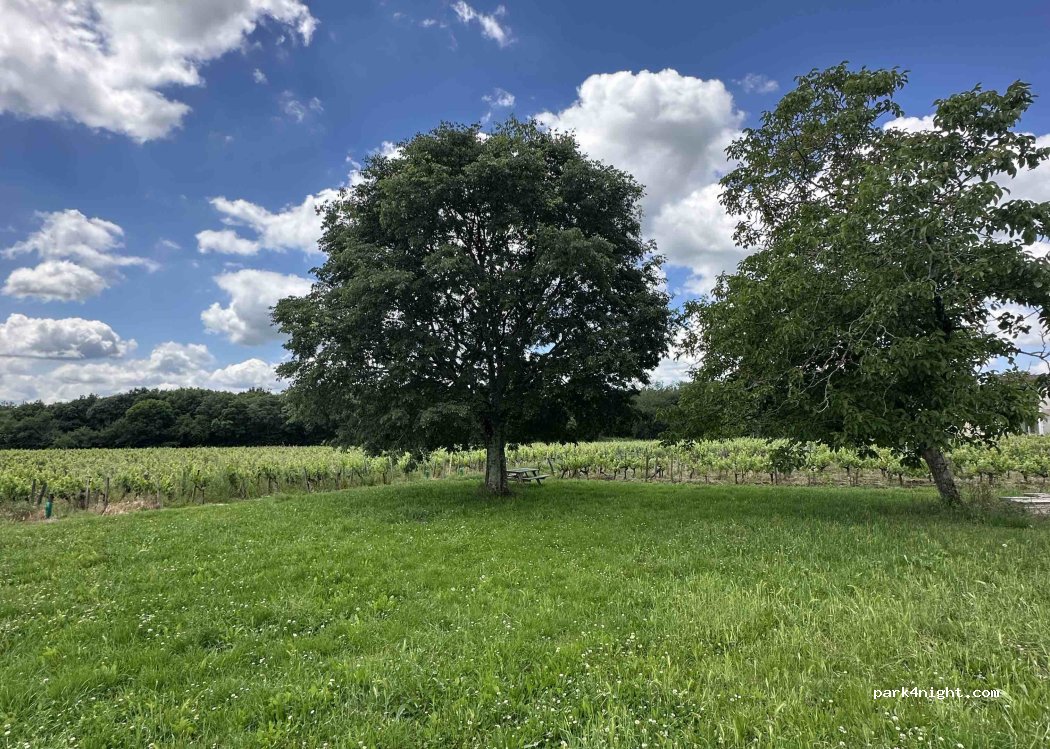 Chateau Galand - Vignobles Jean Galand et Enfants — foto 3
